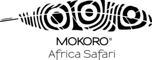 Viaggi in Namibia Logo | Mokoro Tours