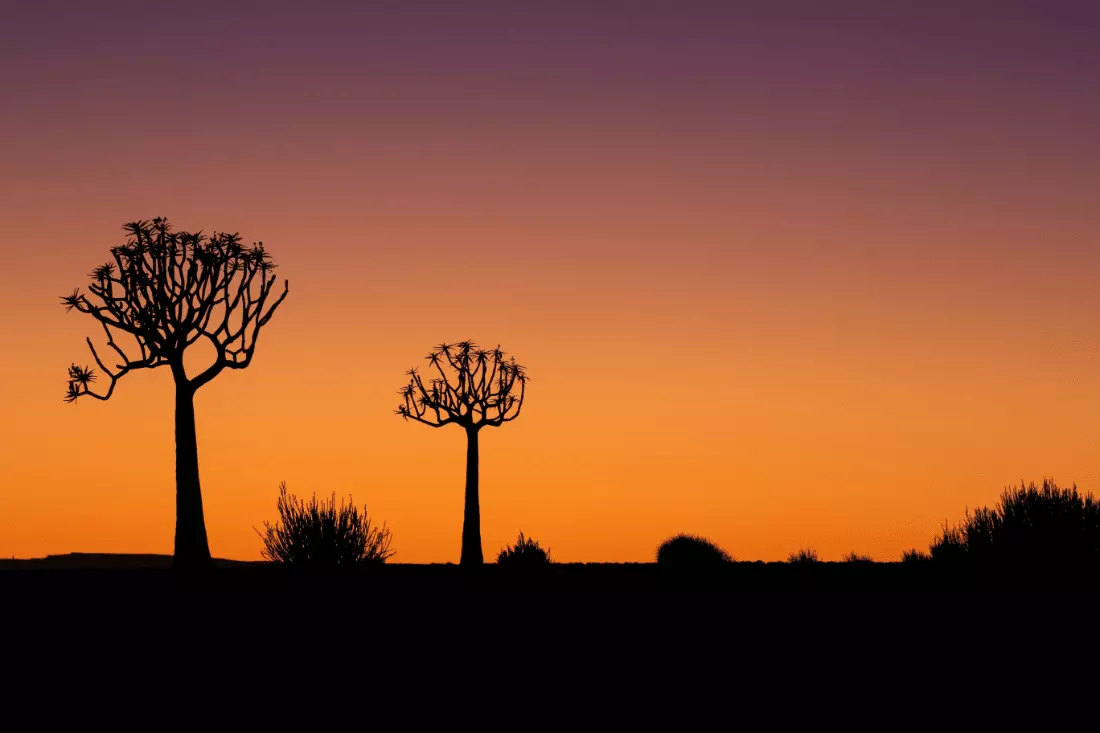 Viaggi in Namibia | Mokoro Tours